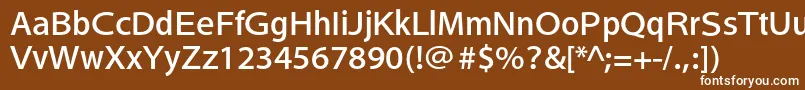 HeiseikakugostdW5 Font – White Fonts on Brown Background