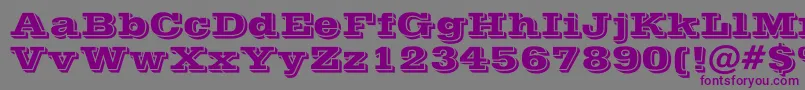 PostofficeBold Font – Purple Fonts on Gray Background