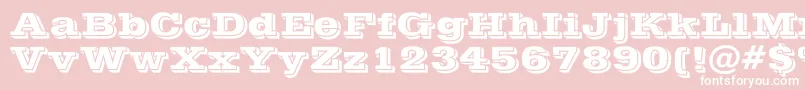 PostofficeBold-Schriftart – Weiße Schriften auf rosa Hintergrund