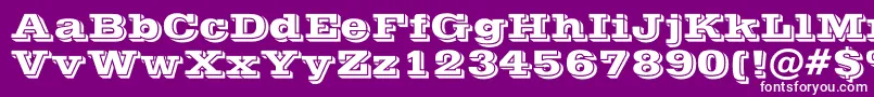 PostofficeBold-fontti – valkoiset fontit violetilla taustalla