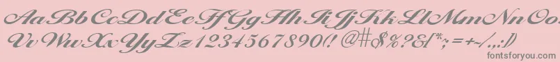 LarisimaBold Font – Gray Fonts on Pink Background