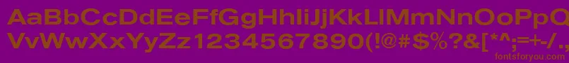 AnconaExBold Font – Brown Fonts on Purple Background