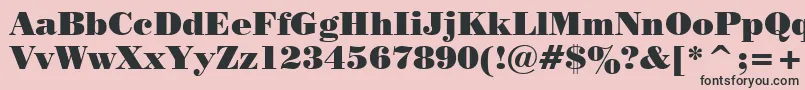 PosterBodoniWin95bt Font – Black Fonts on Pink Background