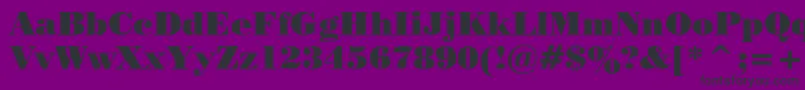 PosterBodoniWin95bt Font – Black Fonts on Purple Background