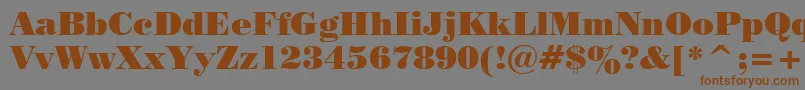 PosterBodoniWin95bt Font – Brown Fonts on Gray Background