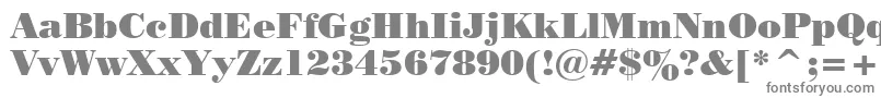PosterBodoniWin95bt-fontti – harmaat kirjasimet valkoisella taustalla