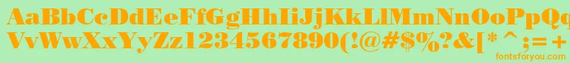 PosterBodoniWin95bt Font – Orange Fonts on Green Background