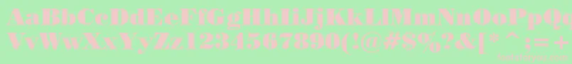 PosterBodoniWin95bt Font – Pink Fonts on Green Background