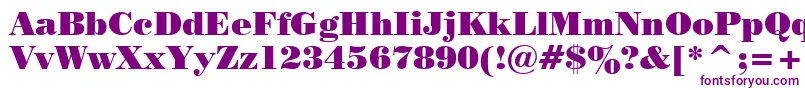 PosterBodoniWin95bt Font – Purple Fonts on White Background