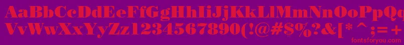 PosterBodoniWin95bt Font – Red Fonts on Purple Background