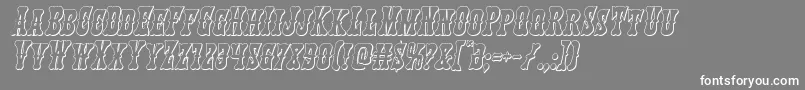 フォントTexasranger3Dital – 灰色の背景に白い文字