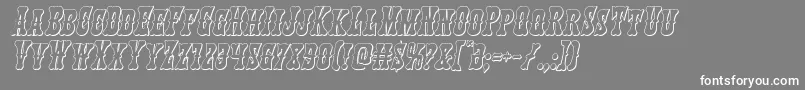 Texasranger3Dital Font – White Fonts on Gray Background