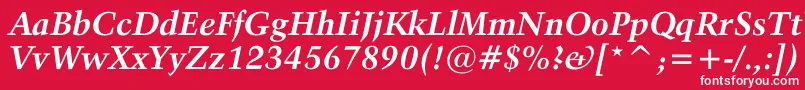 フォントActivaBoldital – 赤い背景に白い文字