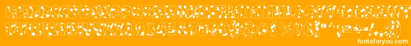 ABighaustitulotldr-Schriftart – Weiße Schriften auf orangefarbenem Hintergrund