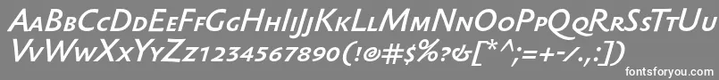 SebastianmediumscItalic-fontti – valkoiset fontit harmaalla taustalla