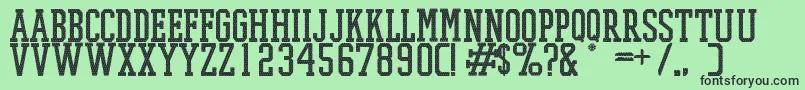 PromeshMeshRegular Font – Black Fonts on Green Background