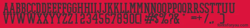 PromeshMeshRegular Font – Black Fonts on Red Background