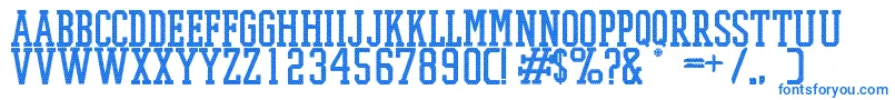 PromeshMeshRegular Font – Blue Fonts on White Background