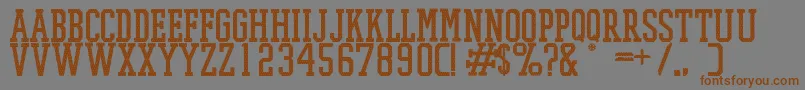 PromeshMeshRegular Font – Brown Fonts on Gray Background