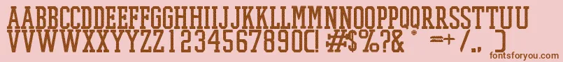 PromeshMeshRegular Font – Brown Fonts on Pink Background