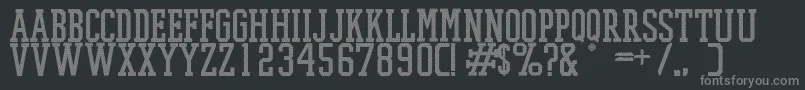 PromeshMeshRegular Font – Gray Fonts on Black Background