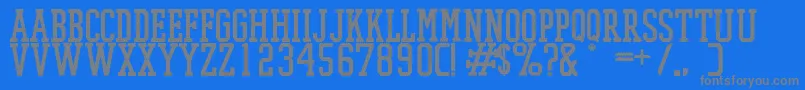 PromeshMeshRegular Font – Gray Fonts on Blue Background