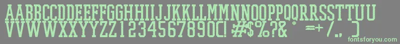 PromeshMeshRegular Font – Green Fonts on Gray Background