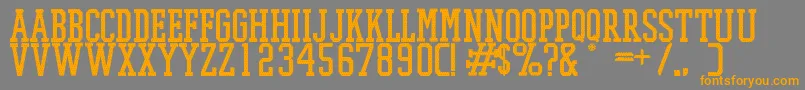 PromeshMeshRegular Font – Orange Fonts on Gray Background