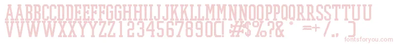 PromeshMeshRegular Font – Pink Fonts on White Background