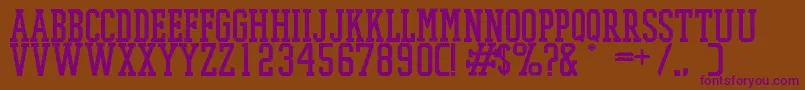 PromeshMeshRegular Font – Purple Fonts on Brown Background