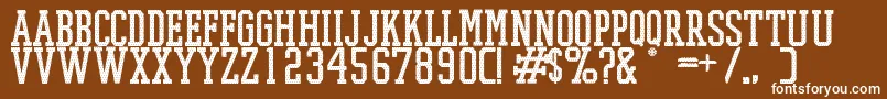 PromeshMeshRegular Font – White Fonts on Brown Background