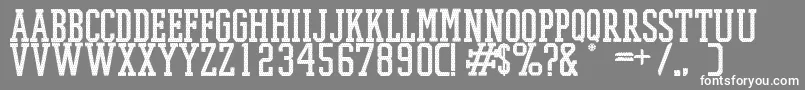 PromeshMeshRegular Font – White Fonts on Gray Background