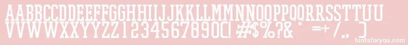 PromeshMeshRegular Font – White Fonts on Pink Background