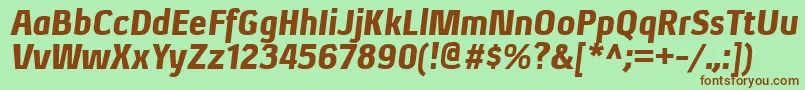 XenublItalic Font – Brown Fonts on Green Background