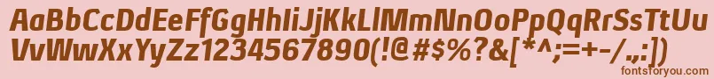 XenublItalic Font – Brown Fonts on Pink Background