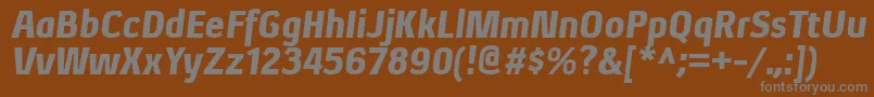 XenublItalic Font – Gray Fonts on Brown Background