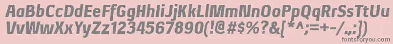 XenublItalic Font – Gray Fonts on Pink Background