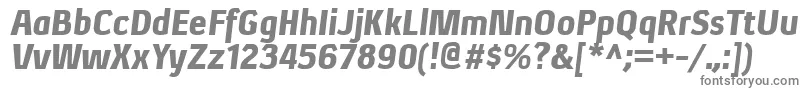 XenublItalic-Schriftart – Graue Schriften