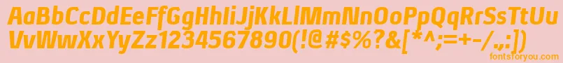 XenublItalic Font – Orange Fonts on Pink Background