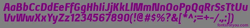 フォントXenublItalic – 紫色のフォント、灰色の背景