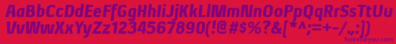 XenublItalic Font – Purple Fonts on Red Background