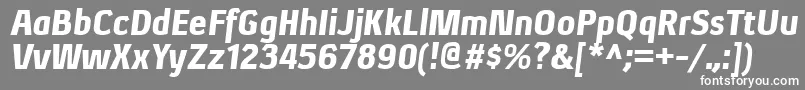 XenublItalic Font – White Fonts on Gray Background