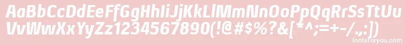 XenublItalic Font – White Fonts on Pink Background