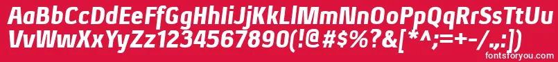 フォントXenublItalic – 赤い背景に白い文字