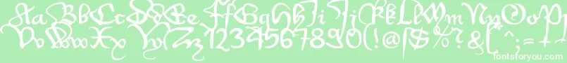 フォントWenzel1 – 緑の背景に白い文字
