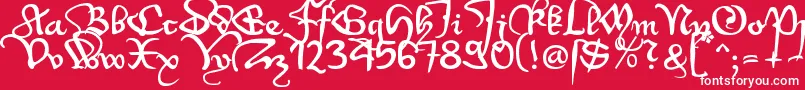 Wenzel1 Font – White Fonts on Red Background