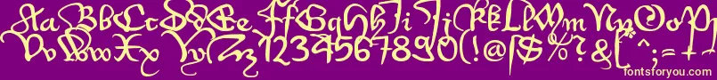 Wenzel1 Font – Yellow Fonts on Purple Background