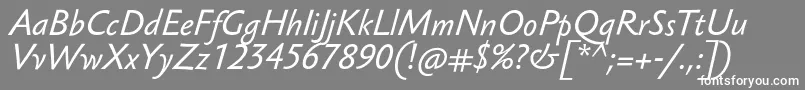 SebastianTextProItalic Font – White Fonts on Gray Background