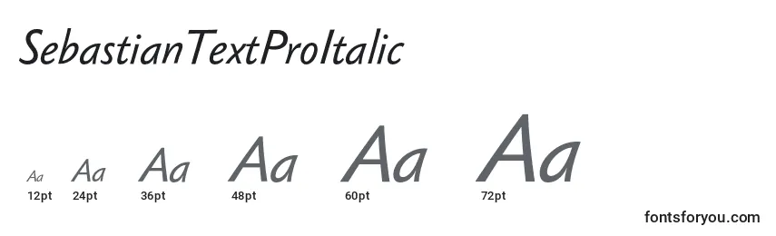 Размеры шрифта SebastianTextProItalic