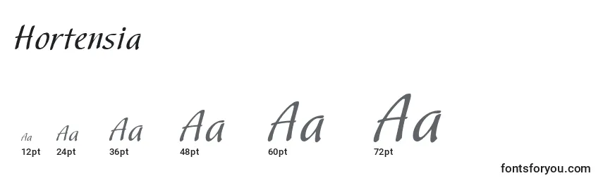 Размеры шрифта Hortensia
